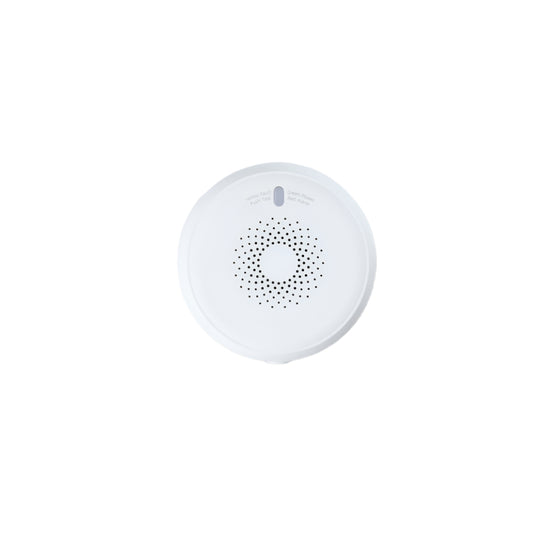 Gas Sensor