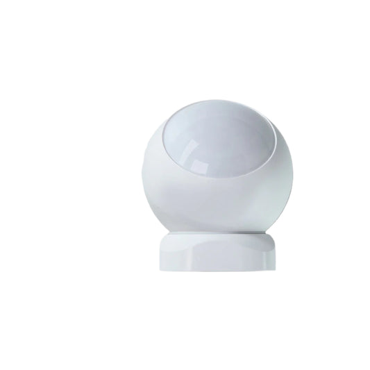 Motion Sensor